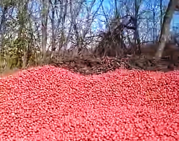 Почему кубанские фермеры оставляют урожай в поле? Почему кубанские фермеры оставляют урожай в поле?