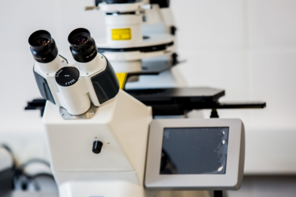 На Кубани за последние сутки коронавирус подтвердился еще у 57 человек