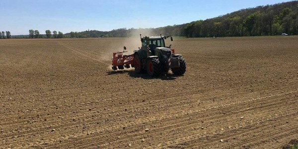 Полевые работы в Краснодарском крае идут по графику