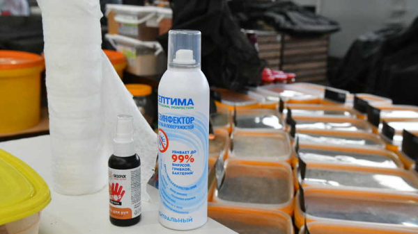 На Сенном рынке Краснодара заработала продуктовая ярмарка На Сенном рынке Краснодара заработала продуктовая ярмарка