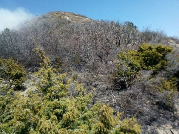 На Кубани введен особый противопожарный режим На Кубани введен особый противопожарный режим