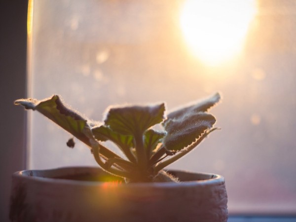 На Кубани в начале недели потеплеет до 20 градусов На Кубани в начале недели потеплеет до 20 градусов