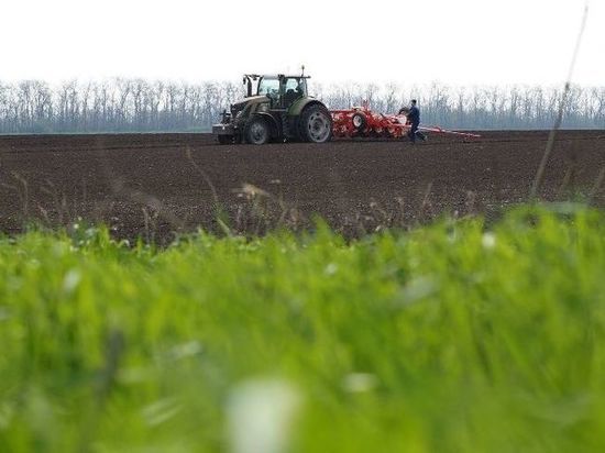 На Кубани засеяно 78% яровых На Кубани засеяно 78% яровых
