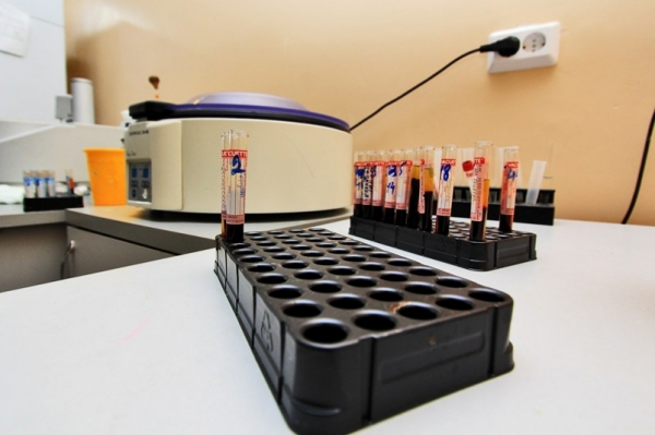 Хроника коронавируса: на Кубани уже 169 человек с подтвержденным диагнозом