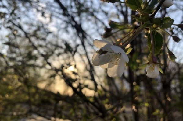 Синоптики: до 25 апреля в Краснодарском крае серьезного потепления не будет