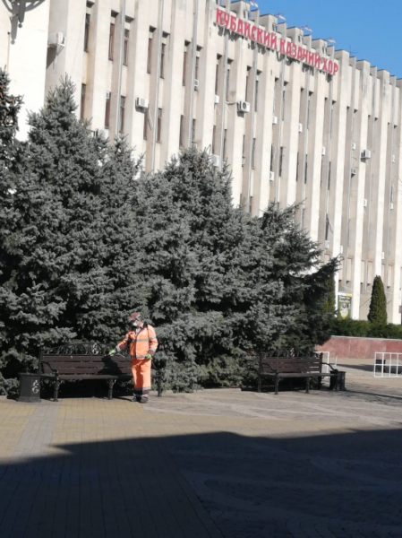 Тотальная дезинфекция Краснодара: итоги недели обработки