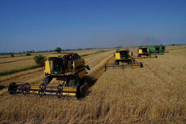 
            АПК Кубани: инвестиции дали мощные всходы                    