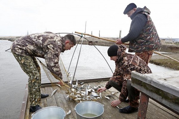 
            АПК Кубани: инвестиции дали мощные всходы                    