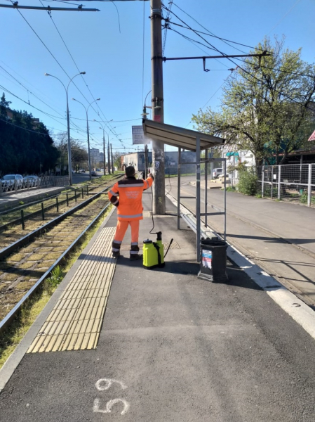 Тотальная дезинфекция Краснодара: итоги недели обработки