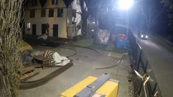 В зоопарке Краснодара неизвестный открыл огонь по птицам