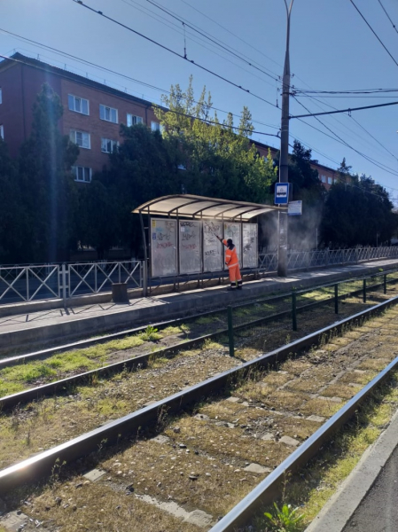 Тотальная дезинфекция Краснодара: итоги недели обработки