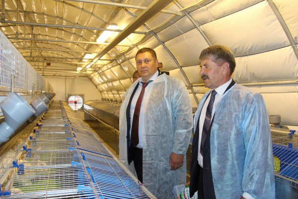 Почему кубанские фермеры оставляют урожай в поле? Почему кубанские фермеры оставляют урожай в поле?