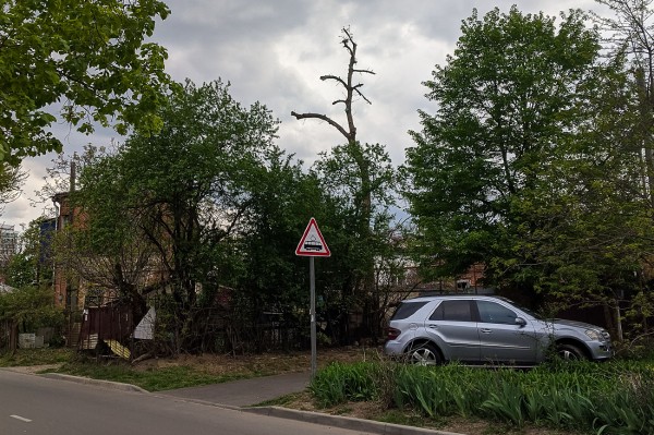 Формовочная или санитарная? Как происходит обрезка деревьев в Краснодаре Формовочная или санитарная? Как происходит обрезка деревьев в Краснодаре