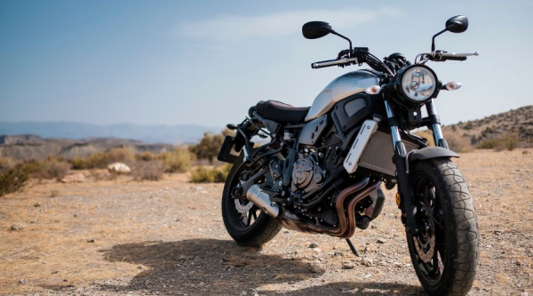 На Кубани байкеры во время карантина устроили массовый слет на берегу моря На Кубани байкеры во время карантина устроили массовый слет на берегу моря