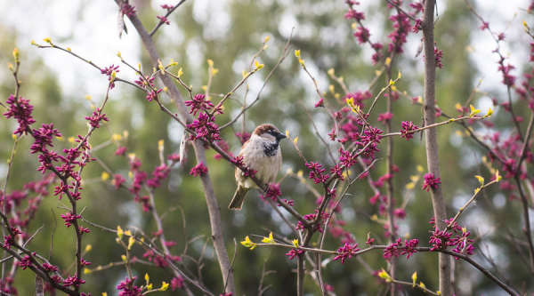 На Кубани в начале недели будет пасмурно и тепло На Кубани в начале недели будет пасмурно и тепло