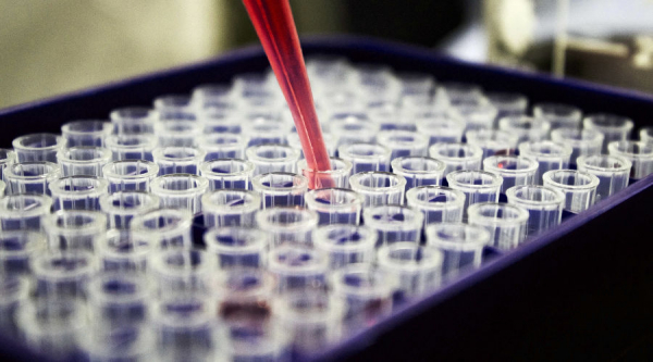 На Кубани за сутки число зараженных коронавирусом увеличилось на 51 человека На Кубани за сутки число зараженных коронавирусом увеличилось на 51 человека