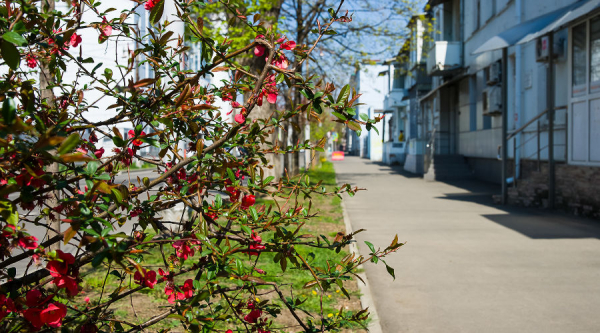 На выходных на Кубани будет тепло, но по ночам ожидаются заморозки