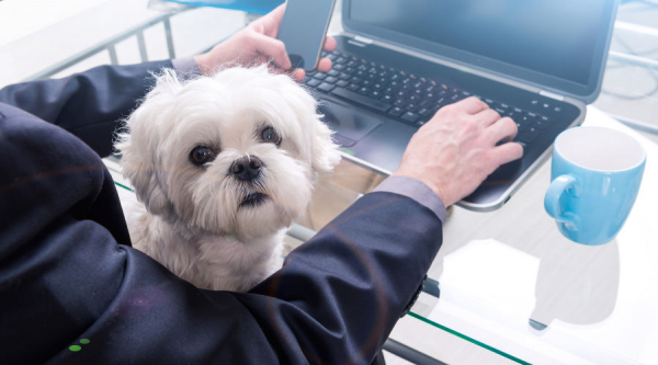 Оставайся дома. Развлекайся с Tele2 и получай бесплатные гигабайты за каждый день на карантине Оставайся дома. Развлекайся с Tele2 и получай бесплатные гигабайты за каждый день на карантине