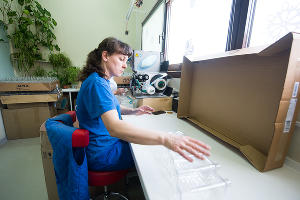 &laquo;Твердое мыло не уберет вирус из линий жизни&raquo;. Репортаж с краснодарского производства антисептиков