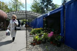 В Краснодаре открылась ярмарка по продаже семян и саженцев