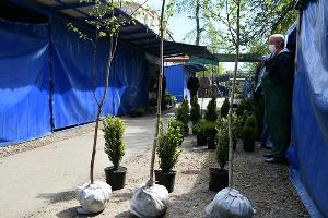 В Краснодаре открылась ярмарка по продаже семян и саженцев