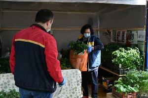 В Краснодаре открылась ярмарка по продаже семян и саженцев