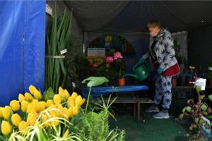 В Краснодаре открылась ярмарка по продаже семян и саженцев