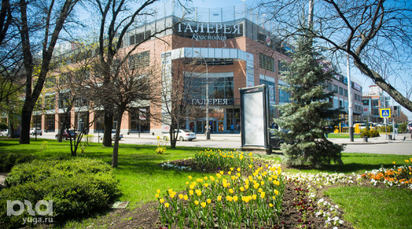 В Краснодаре в последний день апреля изменится движение напротив «Галереи» В Краснодаре в последний день апреля изменится движение напротив «Галереи»