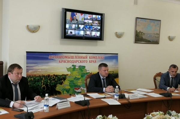 
            В Краснодарском крае перерабатывающие предприятия формируют трудовые резервы                    