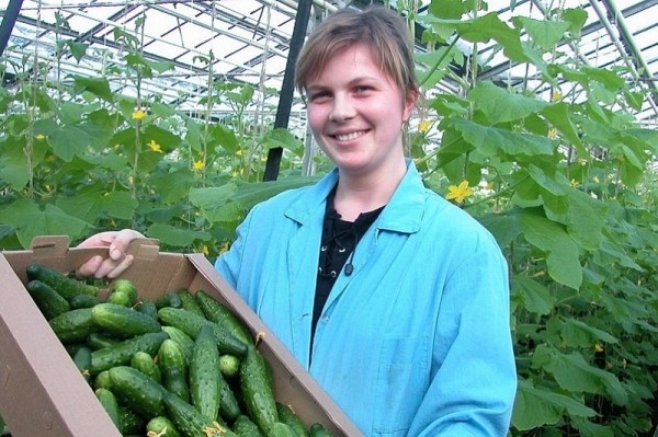 
            В Краснодарском крае власти в индивидуальном порядке помогают фермерам наладить сбыт продукции                    