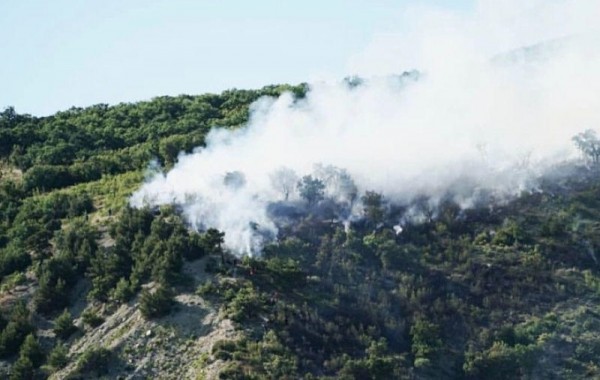 
            Вице-премьер РФ поддержала инициативу главы Кубани Вениамина Кондратьева об ужесточении ответственности арендаторов лесного фонда                    