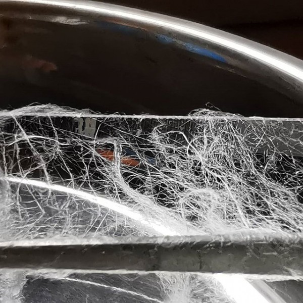 Кубанские ученые изобрели нанонити для борьбы с коронавирусом