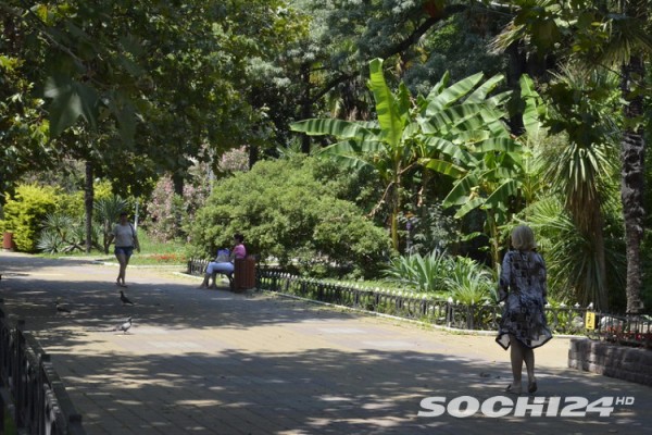 Глава Роспотребнадзора обнародовала поэтапный план по снятию ограничений из-за коронавируса Глава Роспотребнадзора обнародовала поэтапный план по снятию ограничений из-за коронавируса