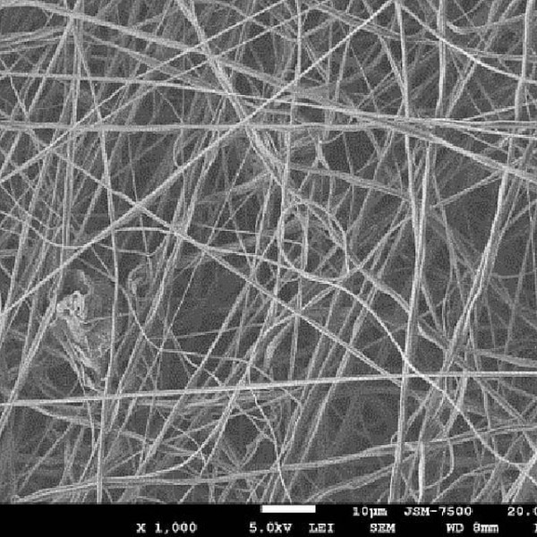 Кубанские ученые изобрели нанонити для борьбы с коронавирусом