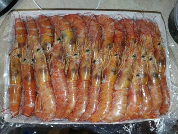 Специалисты назвали единственную эффективную диету Специалисты назвали единственную эффективную диету