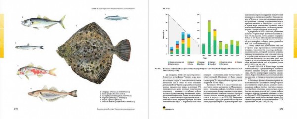 "Роснефть" подготовила экологический атлас Черного и Азовского морей
