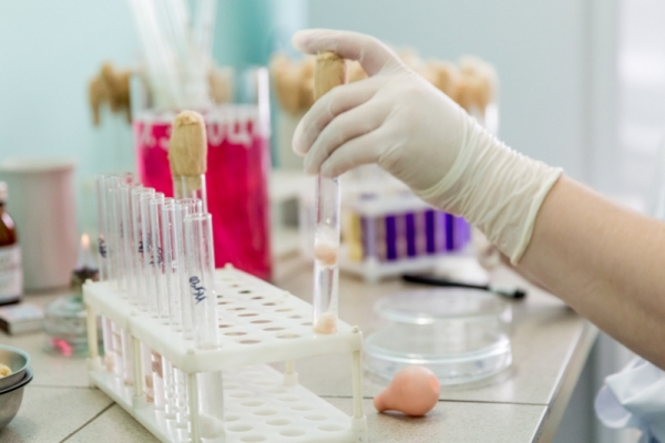 Хроника коронавируса: еще 66 человек заболели за сутки на Кубани Хроника коронавируса: еще 66 человек заболели за сутки на Кубани