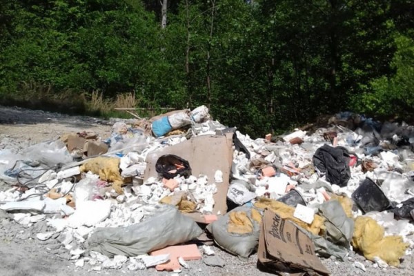 Искали нарушителей самоизоляции, а нашли того, кто вывозит в лес мусор