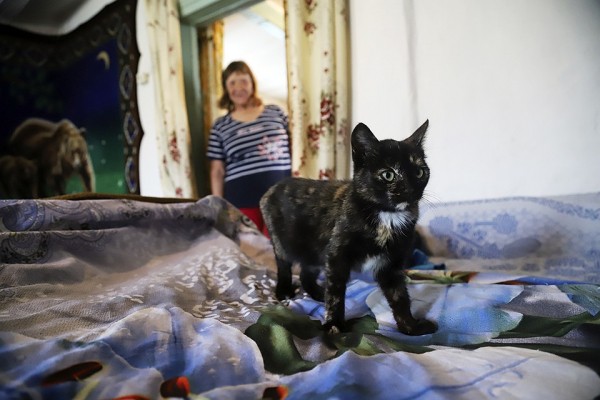 Из морщинистой старухи в молодую леди: кубанские станичники взялись за судьбу бедной соседки и готовы построить ей дом Из морщинистой старухи в молодую леди: кубанские станичники взялись за судьбу бедной соседки и готовы построить ей дом