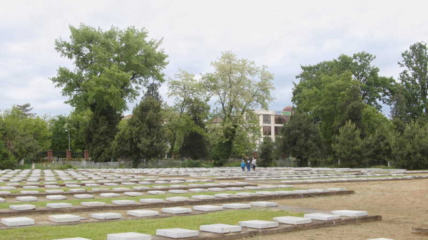 В честь Дня Победы в Краснодаре возложили венки и цветы к мемориалу «Вечный огонь» В честь Дня Победы в Краснодаре возложили венки и цветы к мемориалу «Вечный огонь»