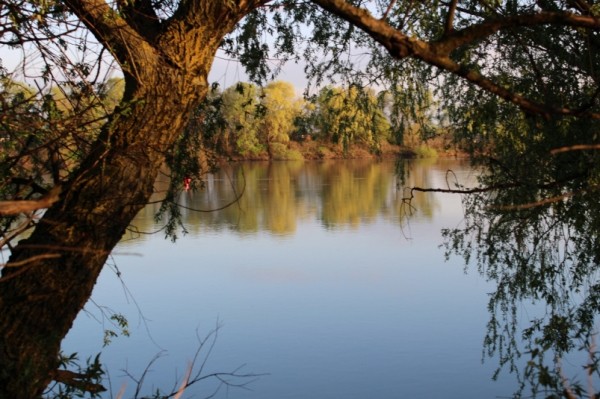 МЧС предупреждает о подъёме уровня воды в реках Кубани из-за сильных дождей