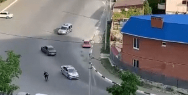 Попробуй догони: в Геленджике преследование отечественного авто полицейскими попало на видео Попробуй догони: в Геленджике преследование отечественного авто полицейскими попало на видео