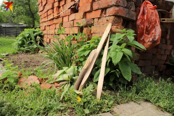 На Кубани двое подростков жестоко избили и ограбили 93-летнюю труженицу тыла