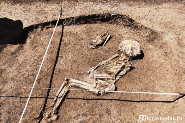 Останки девушки на трассе М-4 «Дон» Останки девушки на трассе М-4 «Дон»