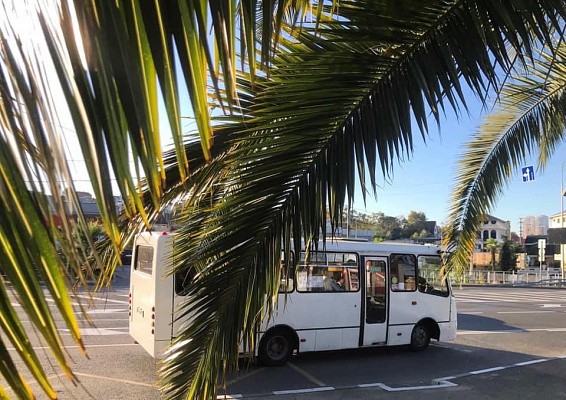 С 1 июня в Сочи начнут курсировать дополнительные автобусные маршруты