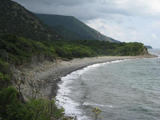 Власти задумали расширить территорию природного заповедника “Утриш” Власти задумали расширить территорию природного заповедника “Утриш”