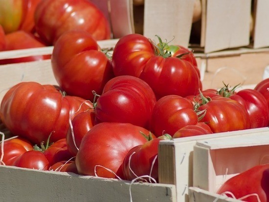 Кубанским фермерам власти помогут реализовать продукцию Кубанским фермерам власти помогут реализовать продукцию