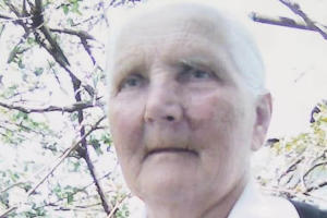 &laquo;Бессмертный полк &mdash; 2020&raquo; онлайн. Акция читателей Юга.ру