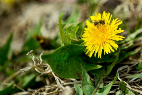 Какой будет погода на неделе с 4 по 10 мая в Краснодарском крае