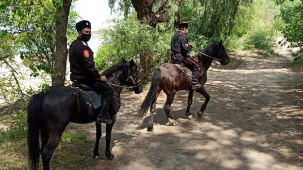 1 мая мобильные группы самоконтроля патрулировали Краснодар по 139 маршрутам